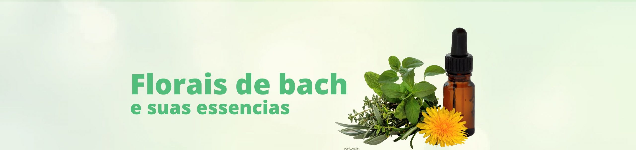 Florais de Bach